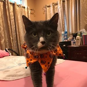 Meet your Posher, Wendy